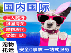 大庆航空邮寄国际宠物托运 【国